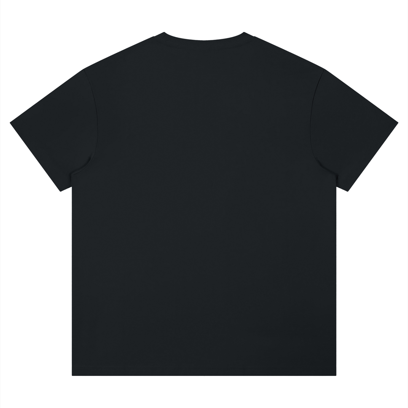 Unisex Performance Moisture-Wicking T-Shirt – Regular Fit Activewear Tee