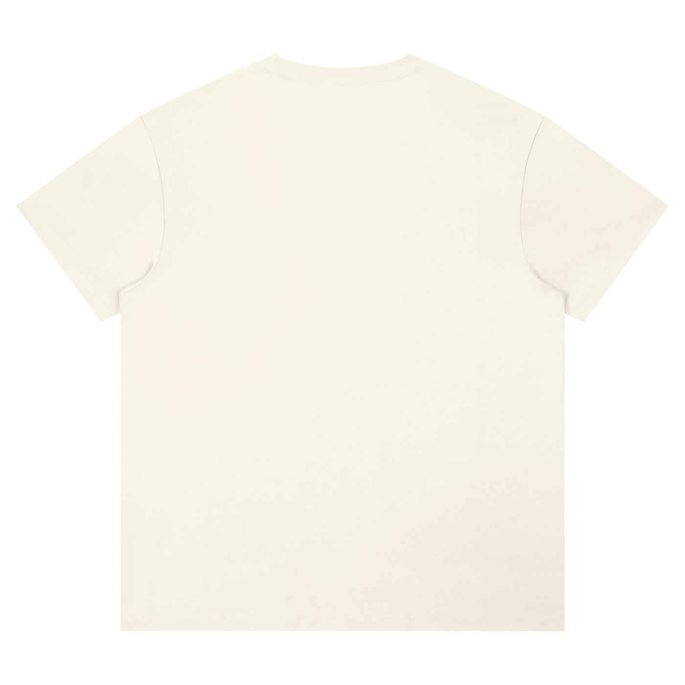 Unisex Performance Moisture-Wicking T-Shirt – Regular Fit Activewear Tee