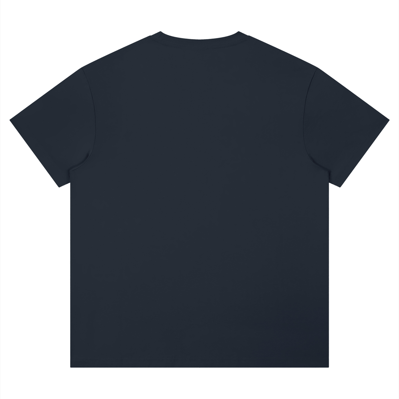 Unisex Performance Moisture-Wicking T-Shirt – Regular Fit Activewear Tee