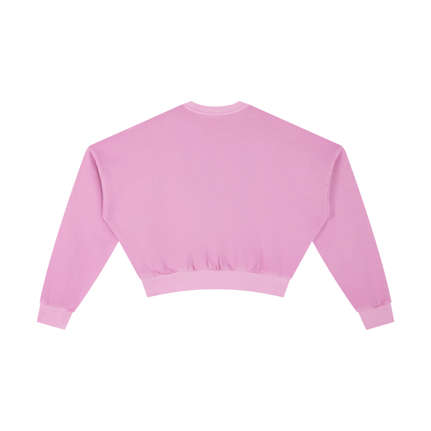 Vintage Washed Cropped Sweatshirt
