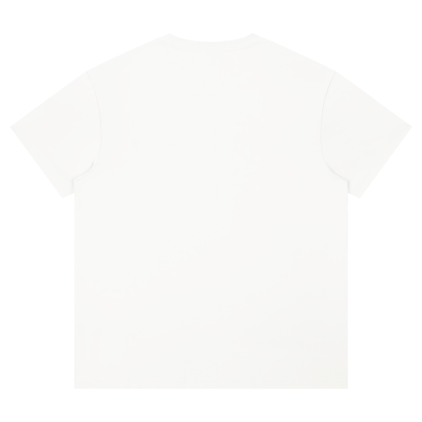 Unisex Performance Moisture-Wicking T-Shirt – Regular Fit Activewear Tee