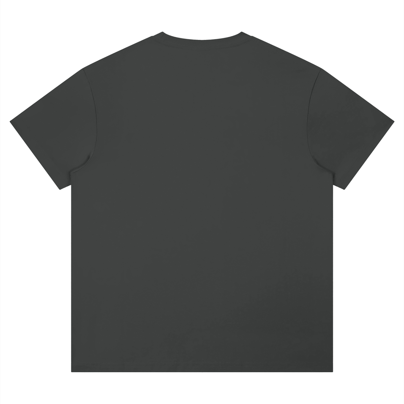 Unisex Performance Moisture-Wicking T-Shirt – Regular Fit Activewear Tee